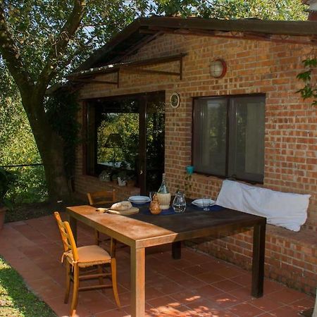 Marziani Rustic Tuscan House Capannori Dış mekan fotoğraf