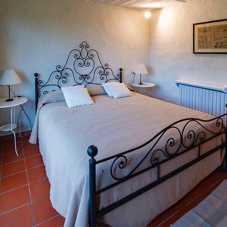 Marziani Rustic Tuscan House Capannori Dış mekan fotoğraf