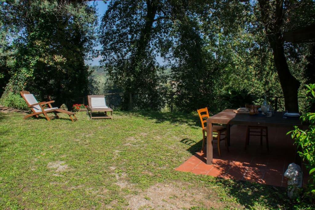 Marziani Rustic Tuscan House Capannori Dış mekan fotoğraf